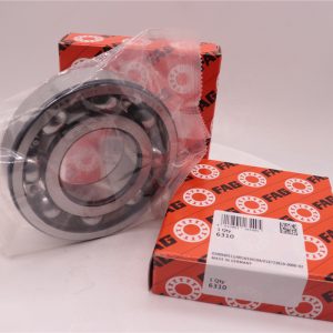 Vòng bi bạc đạn Fag ở Bình Dương